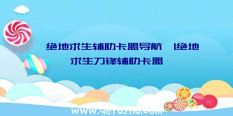 「绝地求生辅助卡盟导航」|绝地求生刀锋辅助卡盟